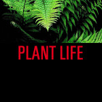 PLANT LIFE