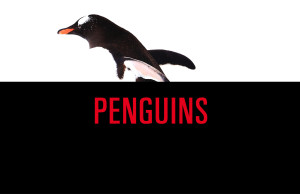 PENGUINS